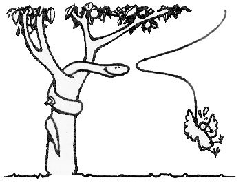 Free Mulch, Bird Deterrent, and Other Country Lore